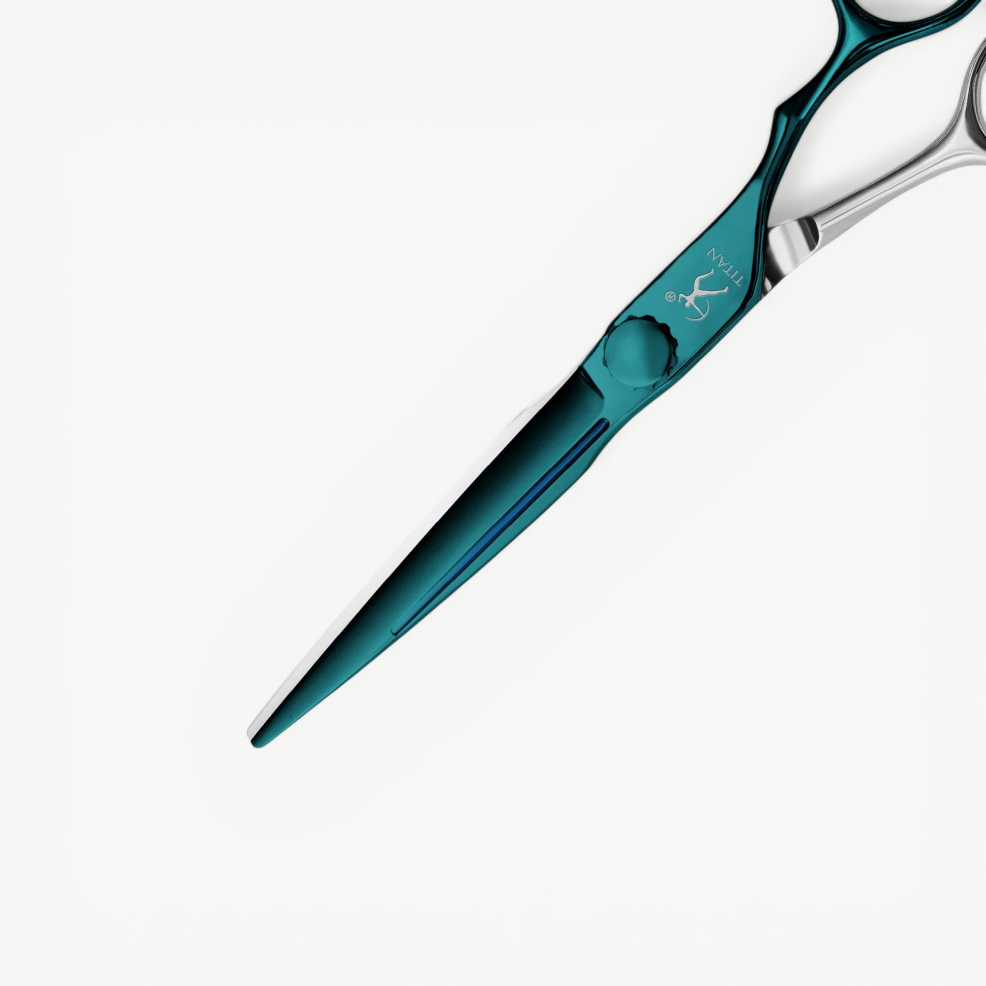 Titan 6'' CNG60 Japanese Steel Hair Cutting Scissors