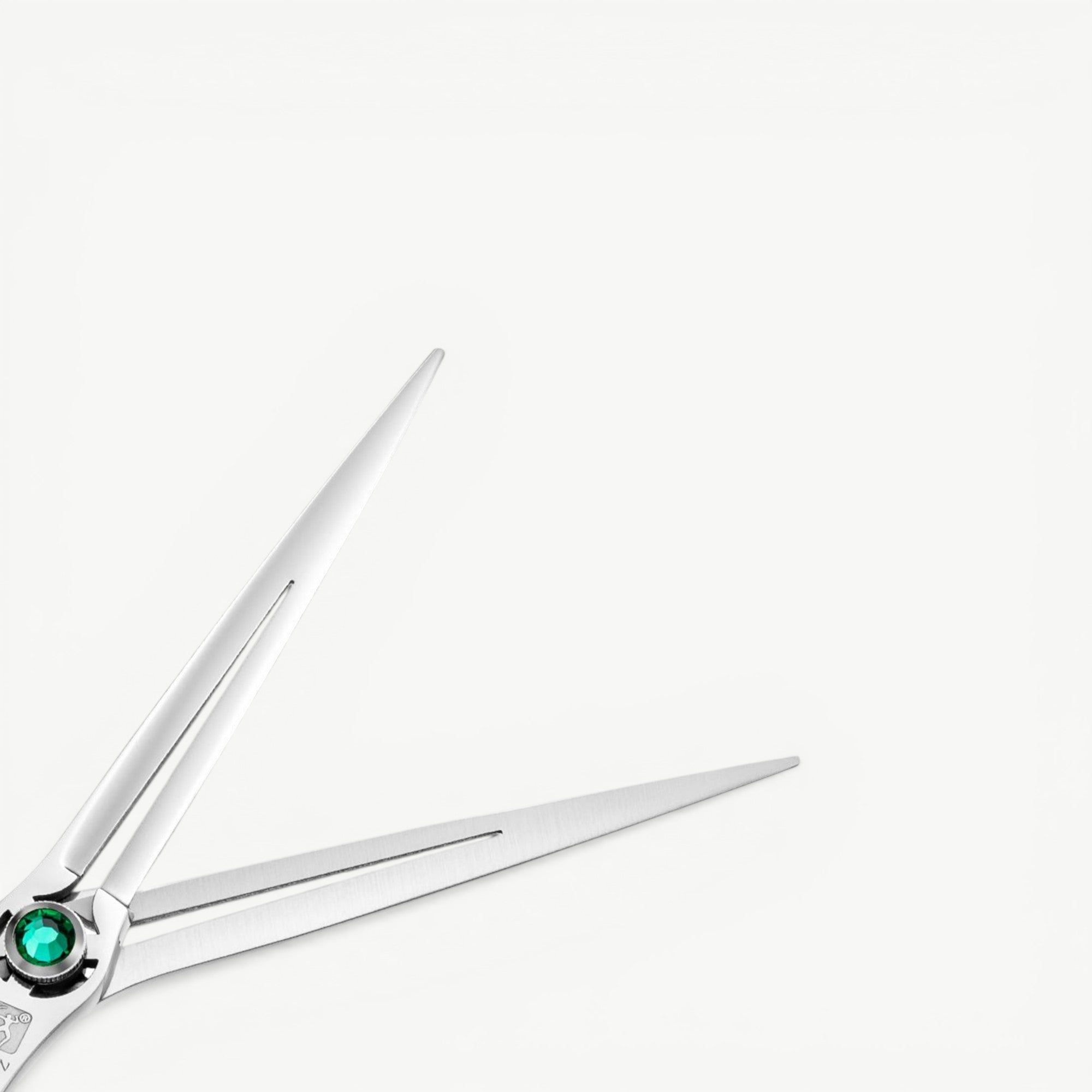 Titan 6.5'' T165 Japanese Steel Hair Cutting Scissors